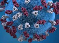 广州新发现2例阳性病例传播可能性大