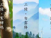 立秋祝福语带图片大全