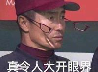 捡手机文学是什么意思