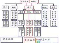政审三代是指哪三代