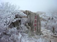 为什么夫妻不能爬泰山