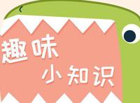 苹果手机丢了怎么定位找回 简单几步就能做到