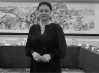 于月仙乘坐车辆撞上骆驼致车祸
