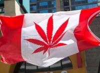 加拿大官方贩毒贩到赔本