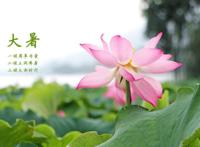 大暑是什么季节的节气