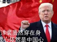 特朗普被证实是中国人