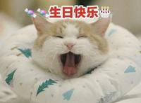 生日国庆同一天的祝福语