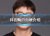 抖音上的陶白白是什么梗 分析星座真的准吗