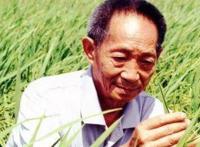 袁隆平去世时间 袁隆平的英雄事迹简介