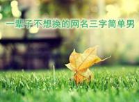简单随意淡然网名 给自己取个独特的昵称