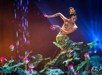 杨丽萍简历及个人资料简介 莲花心舞蹈为何很恐怖