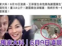 谢霆锋回应王菲怀孕 谢霆锋王菲发文宣布产女是真的吗