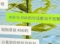 456是哪个艺人 孟美岐456是什么意思解释一下