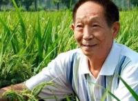 袁隆平简介及主要事迹 称之为当代的神农