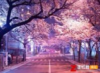 我在红尘等你人间等你守繁华之外是什么歌，等你归来歌曲介绍