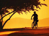 你的眼神让人醉是什么歌，我在你眼里到底算什么歌曲介绍