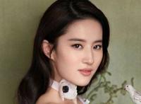 刘亦菲个人资料介绍 扮演的无一不是玉女形象