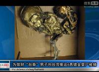 镀金婴尸灵异事件 视频中听到了婴儿的哭声