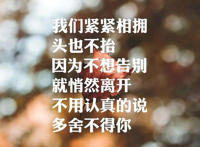 我和你本应该各自好各自坏是什么歌，出现又离开歌曲介绍