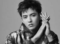 吴亦凡被宣判多久 他判17年9个月是真的吗