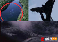 卫星拍到的真龙凤凰，图片背后的真相让人意外