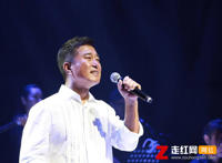 窗外明月光映照我脸庞是什么歌，望乡歌曲介绍