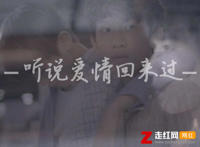 有一种想见不能见的伤痛是什么歌，听说爱情回来过歌曲介绍