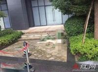 任娇是怎么掉下去的 死亡真相是什么