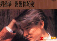 不喜欢孤独却又害怕两个人相处是什么歌，谢谢你的爱歌曲介绍