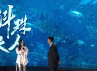 斛珠夫人剧情介绍 大结局怎么样