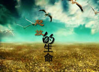 我想要怒放的生命是什么歌，怒放的生命歌曲介绍