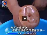 女记者太岁的梗 采访事件后来怎么样