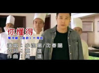 当你从我眼前慢慢走过是什么歌，你懂得歌词歌曲介绍