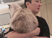 谁是王思聪的前女友有哪些 扒皮14个历任女友