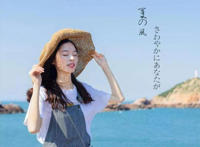 夏天的风我永远记得是什么歌，夏天的风歌曲介绍