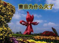 曹县为什么火了因为出口棺材 真的很有钱吗
