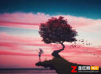 我忘掉你的所有风里雨里一直大步往前走是什么歌，哪里都是你歌曲介绍