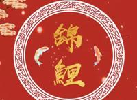 网络语锦鲤女孩是什么意思 杨超越：运气好有福气的孩子