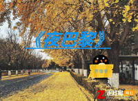 你在巴黎某个角落和某人在看日落是什么歌，夜巴黎歌曲介绍