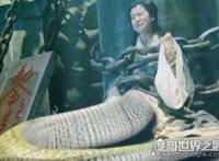 女娲真身吓人图片 万妖之王人首蛇身有多吓人