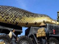 广西桂平挖蛇事件是真的吗 挖出两条大蛇真相揭秘