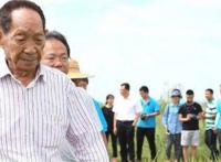 袁隆平生平及主要事迹 一位种了一辈子稻子的农民