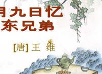 遍插茱萸少一人少一人指的是谁 遍字是什么意思