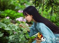 李子柒怎么不更新了 突然停更了应该有以下原因