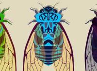 飞鸟和蝉歌词表达了什么 飞鸟和蝉原唱歌词完整版