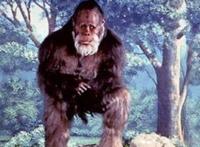 神农架野人真实照片 1976神农架野人目击事件是否存在