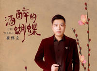 怎么也飞不出花花的世界是什么歌，酒醉的蝴蝶歌曲介绍