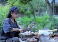 李子柒事件是怎么回事 超级大网红突然停更了