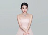 多年前张含韵事件发生了什么 为何被封杀了
