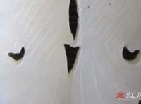 双鱼玉佩事件5张真实恐怖图 无法想通领队彭加木的消失